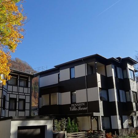 Pension Villa Irene Bad Harzburg Εξωτερικό φωτογραφία